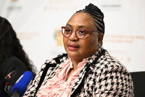 Didiza denies convening 2006 meeting linked to Chikane prosecution
