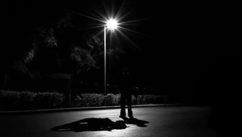 How safe do South Africans feel on their streets? Here's how people are changing how they live
