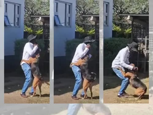 VIDEO | Stephen and his beloved dog, Fireman, reunited in Malawi
