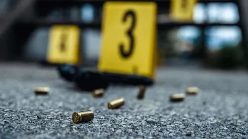 Burglars target Merebank home: Resident lucky to be alive after dodging bullet