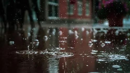 Monday Weather: Severe storms, heavy rain and sweltering heat