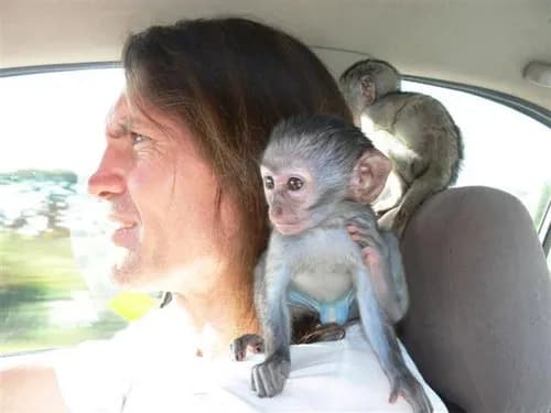 Durban community mourns the loss of beloved monkey rescuer, Steve Smit