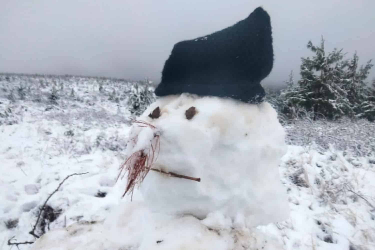 Snow Alert: Gauteng braces for rare winter wonderland