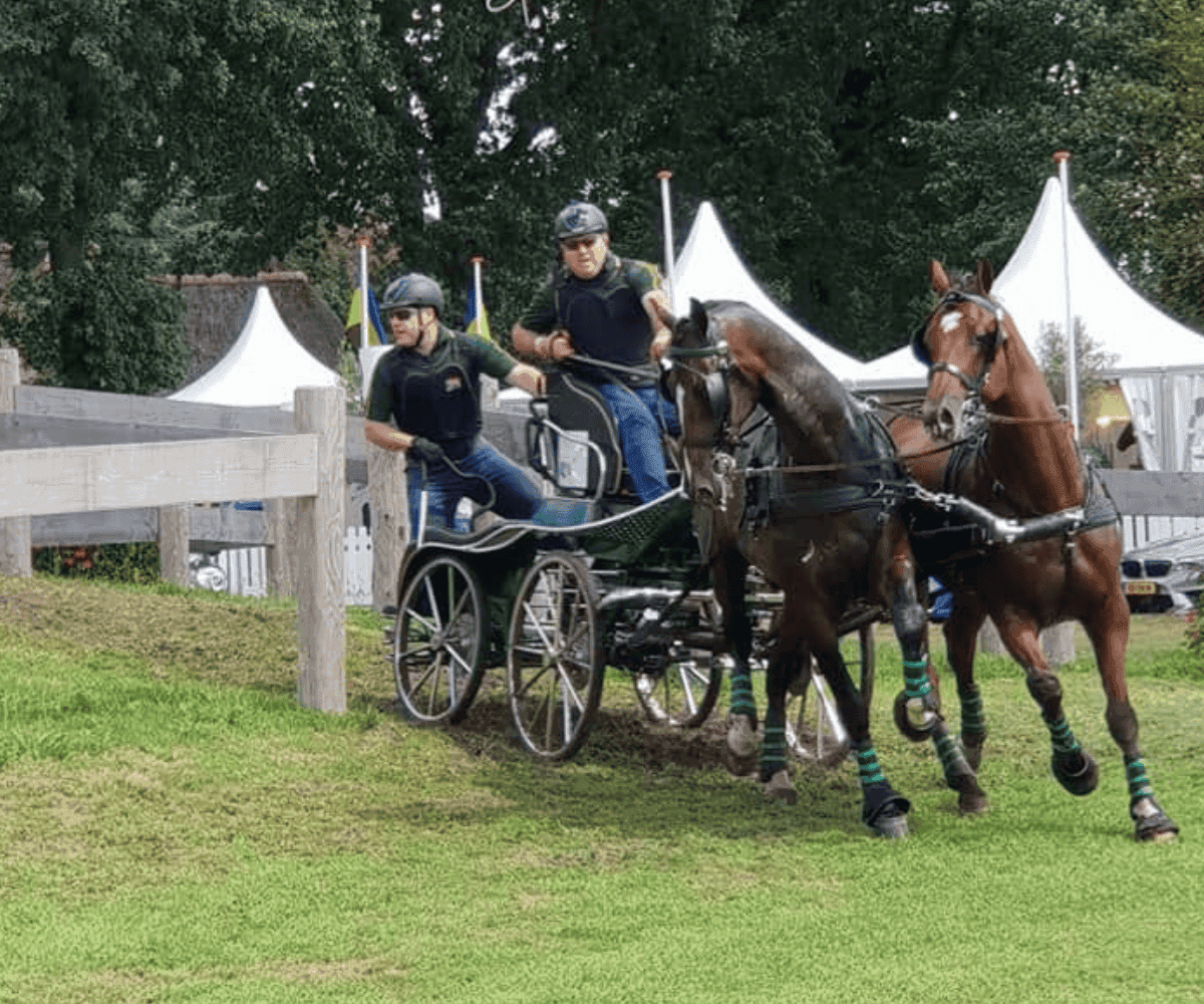 SA carriage driver Wayne van Niekerk set for historic Aachen debut