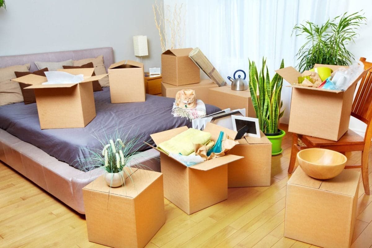 What hoarders’ homes and lucky packets have in common