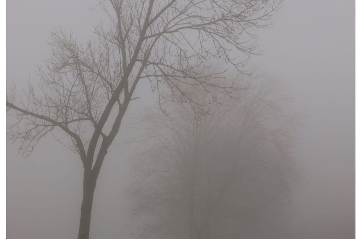 WEATHER: Dense morning fog expected across SIX provinces
