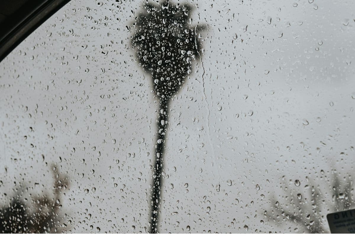 Weather: Cloudy skies set to bring showers and rain