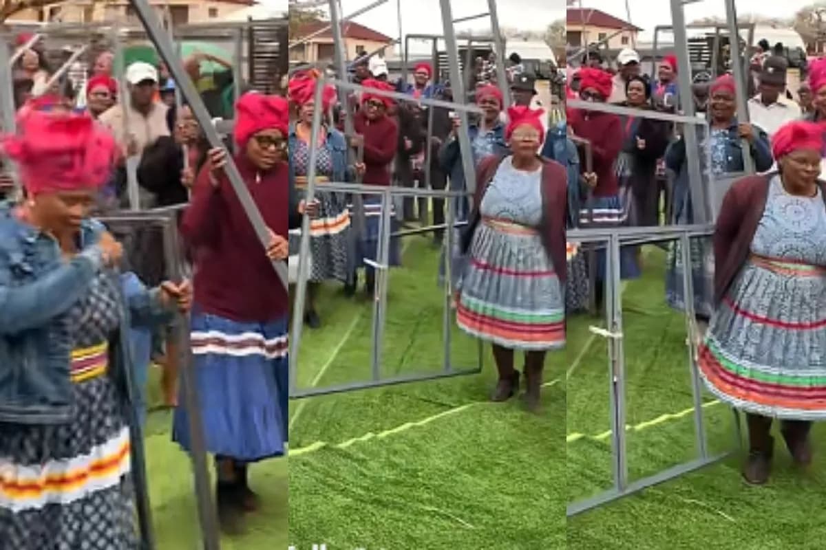South Africans divided over unusual Limpopo wedding gifts in viral TikTok – WATCH