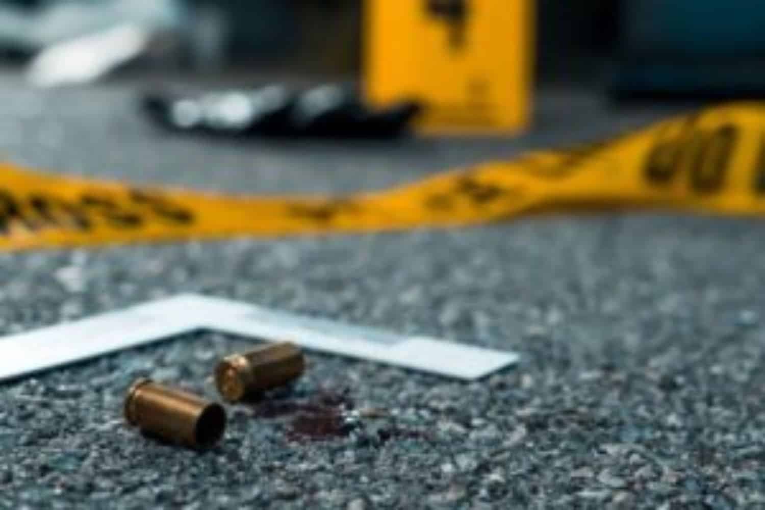 Manhunt after elderly passenger shot dead in Limpopo hijacking