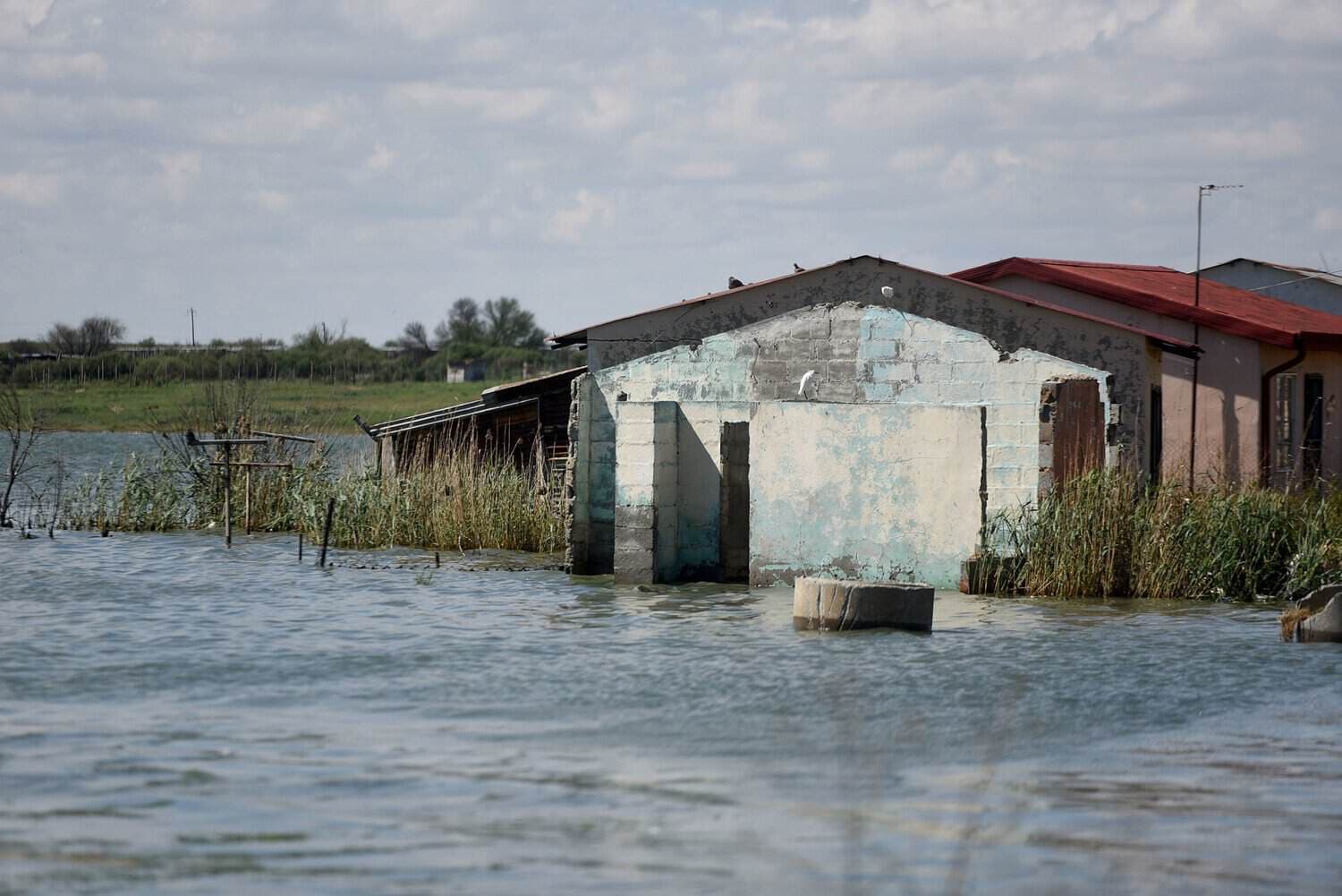 Water-poisoned chalice of rot