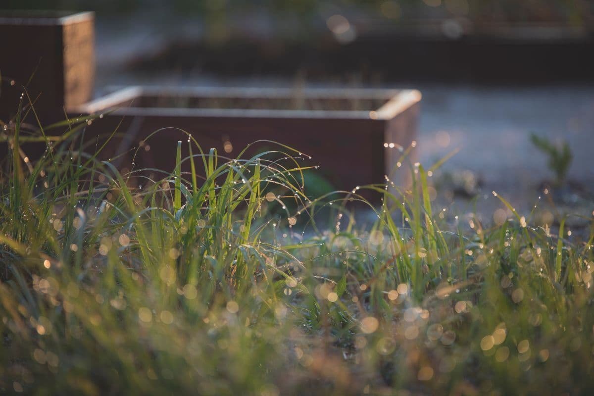 Here’s what your garden could be telling you this winter