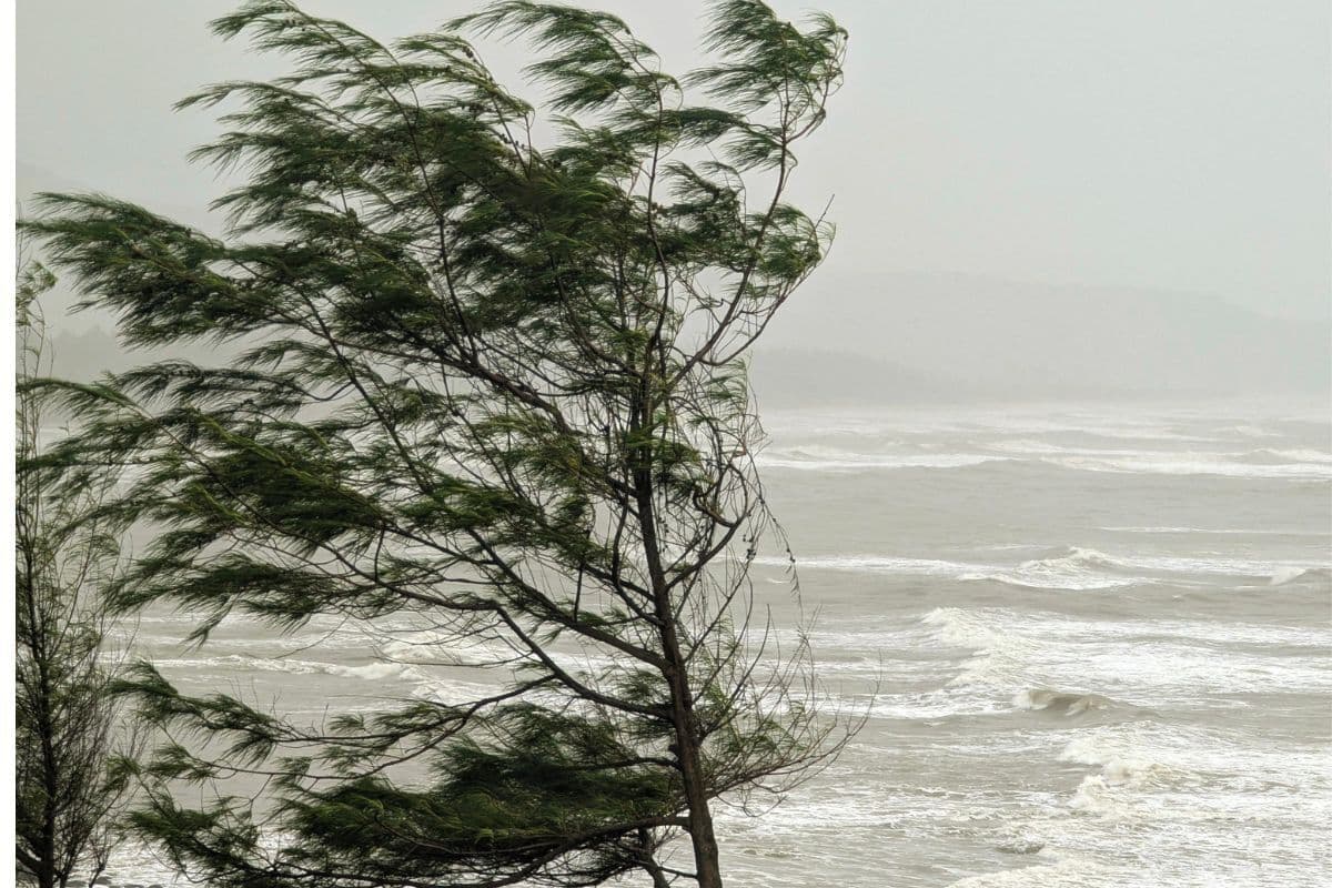 WEATHER: Strong winds and dangerous waves to affect parts of KZN