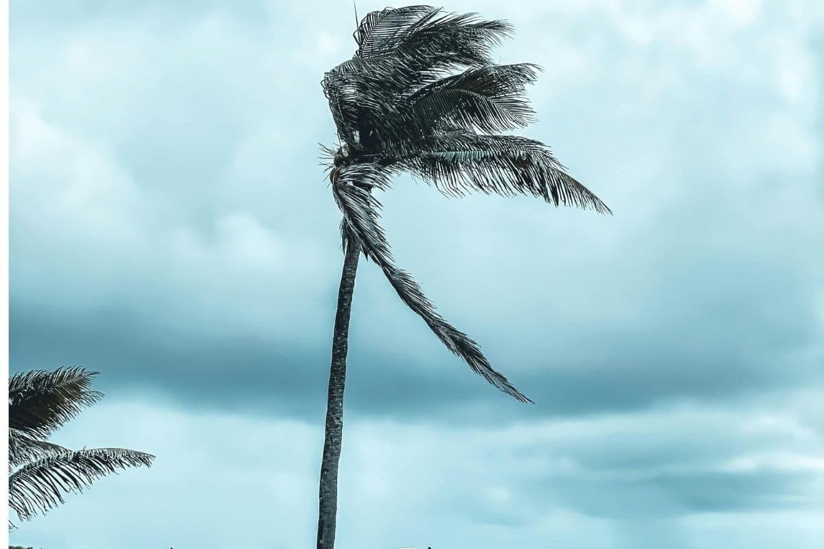 WEATHER: Strong winds expected this weekend