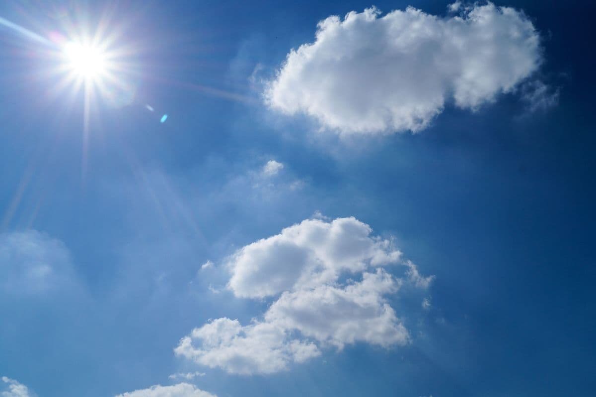WEATHER: Fine, cool to warm conditions expected