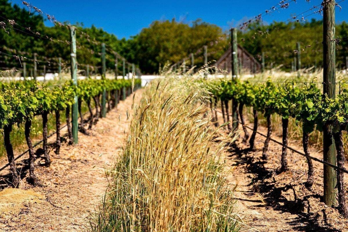 The only Western Cape town where you can buy land for R100 000