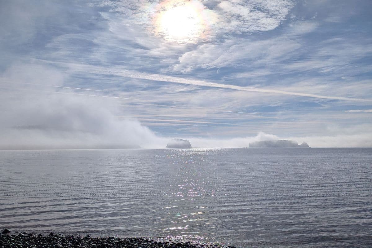 WEATHER: Morning fog to clear as cool to warm conditions continue