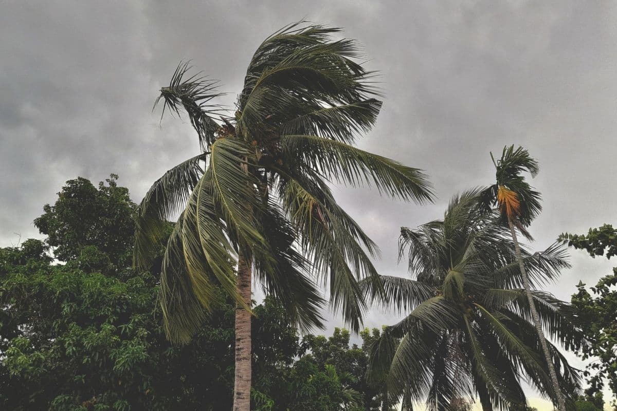 WEATHER: Cloudy skies and strong winds expected across parts of SA