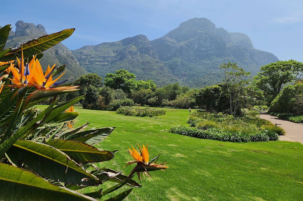 Western Cape July rainfall lowest in decades: Where did the rain go?